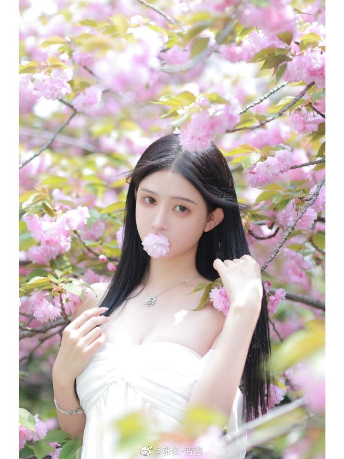 摩加迪沙 封面